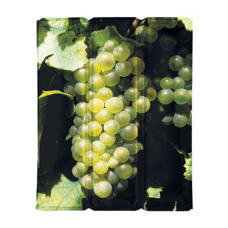 White Wine Grape Sheath