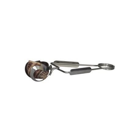 Escargot Tongs