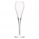 6 Super Champagne Flutes