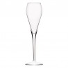 6 coupes à champagne Silhouette