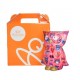 Money box Owl BO