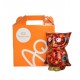 Money box Owl BO