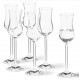 6 verres à grappa