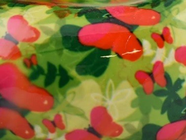 vert - papillon rouge