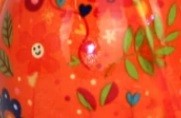 orange - flowers