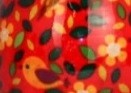 rouge - oiseaux